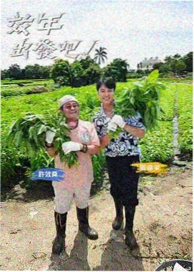 手艺人档案 纪实综艺免费观看